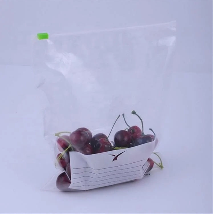 Spring zipper food storage plastic bag packaging recyclable bag packaging manufacturer zipper bag